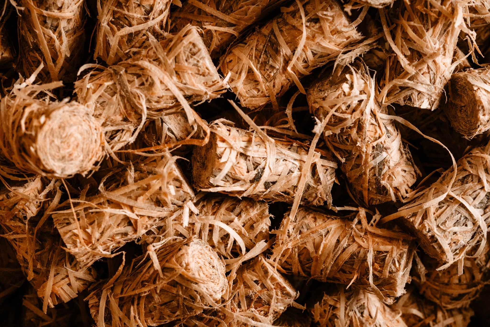 BIOENEX France Maison des briquettes de nuit EmberGlow Bioenex France — free download